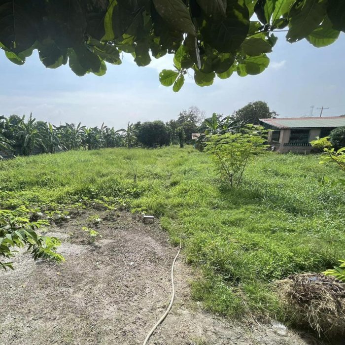 FOR SALE LOT IDEAL FOR FARM RESORT IN MAGALANG PAMPANGA NEAR ANGELES ...